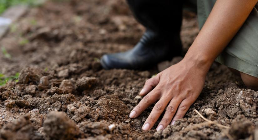 Csepregi Attila: A talajt nem dátum szerint, hanem állapot szerint kell művelni