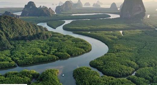 Fellendülőben a karbonkreditek kereskedelme