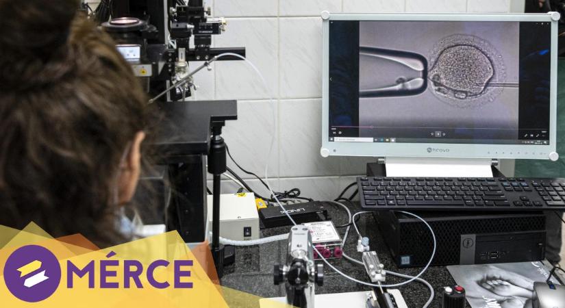 Ami eddig kimaradt a petesejt-donáció körüli politikai csörtéből: a rászoruló nők testének kizsákmányolása