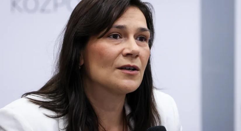 Másképp fogalmazott volna Pintér Sándor helyében a kórházban hagyott csecsemőkről az örökbefogadásért felelős biztos