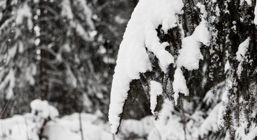 A fehér karácsony a múlté? Új kutatás árnyalja a helyzetet