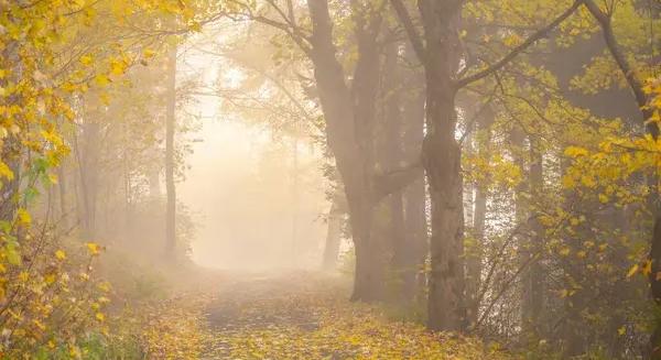 Út- és látási viszonyok a közutakon