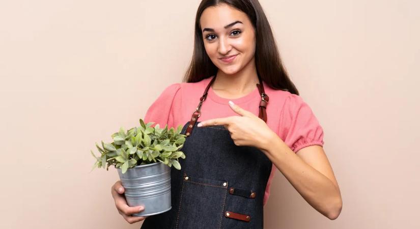 Feng shui tipp: ezekkel a növényekkel bevonzod a szerelmet