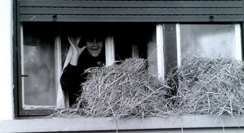 Luca napi szokások – ma dologtiltó nap van, ne moss, ne takaríts! - fotók