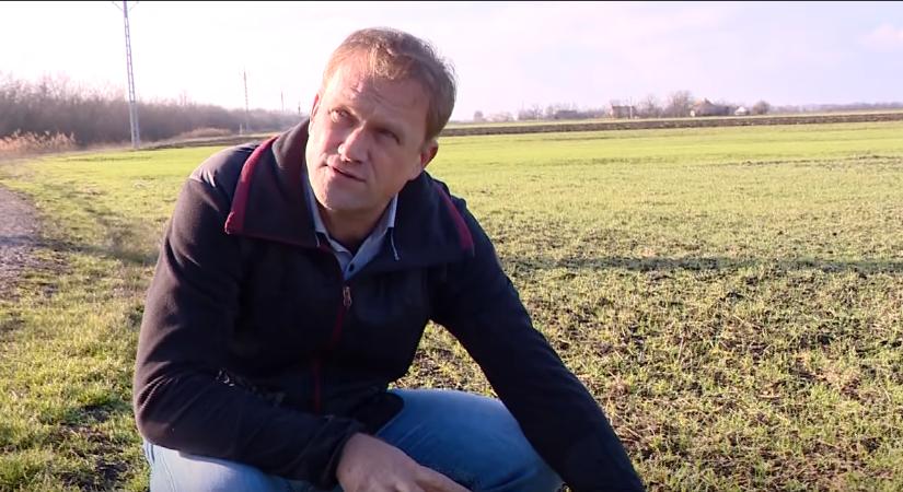 Kedvez az időjárás a kártevőknek – kint is, bent is