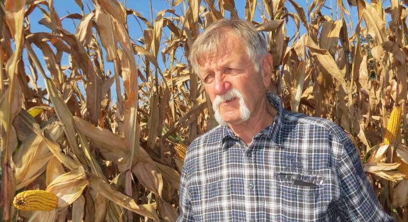 Hogyan formálja át a Kukorica Termésverseny a hazai gazdálkodást?