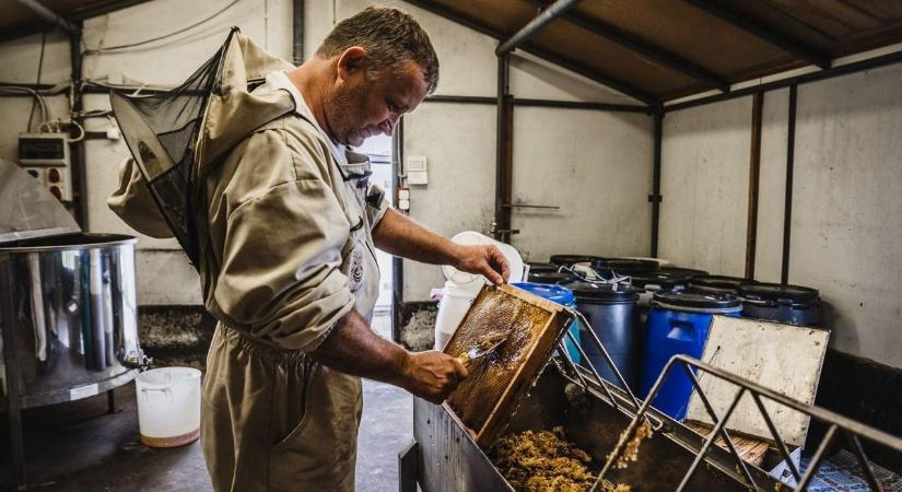 Ebből a fajta mézből süsse a mézeskalácsot, hogy belengje a házat az illata