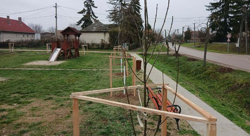 Új fák a közösségért: Káloz zöldebbé válik