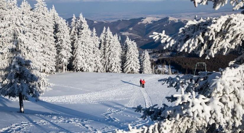 Erdély hazavár: az RMDSZ történelmi programot indít a kivándorolt magyarok hazacsábítására (VIDEÓ)