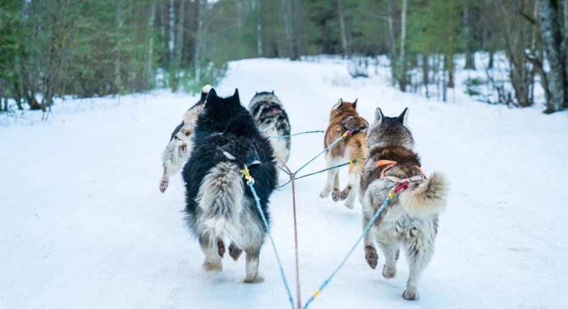 5 sport, amit télen is kipróbálhatsz szabadtéren