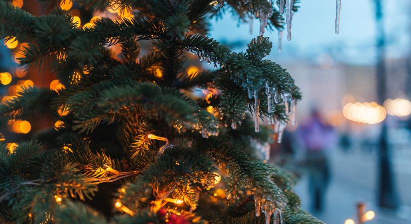Felgyújtották a város karácsonyfáját, nem lesz helyette új