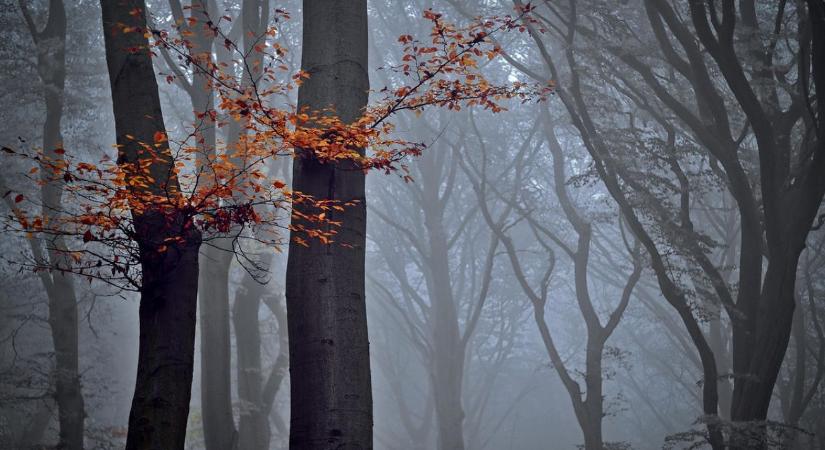 Időjárás: Ködbe veszve  VIDEÓ