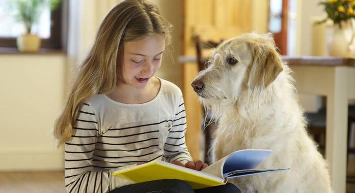 Felismered a magyar regényeket egyetlen mondatból?
