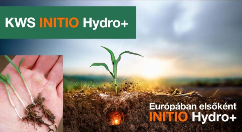 Biztos megoldás kiszámíthatatlan években: a KWS cirokportfóliója