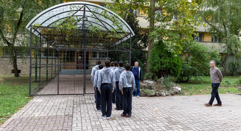 Nyílt levelet küldött a Szociális és Gyermekvédelmi Főigazgatóság a Szőlő utcai borzalmak után