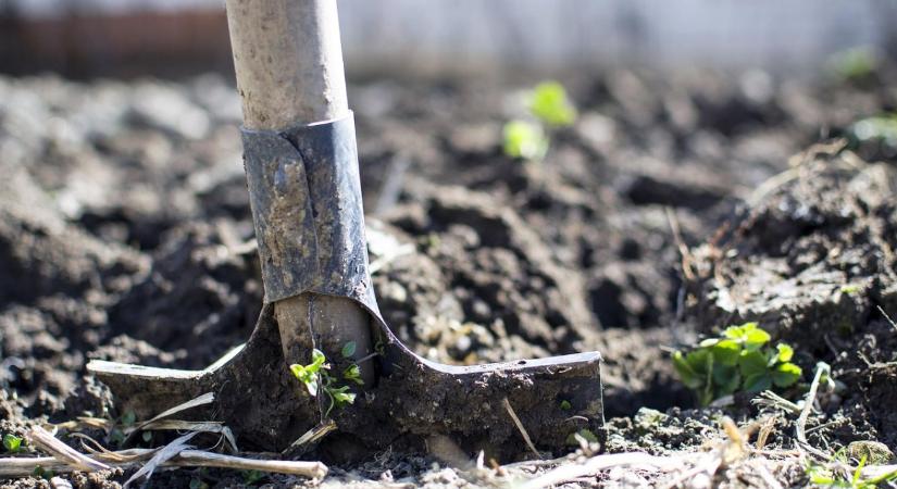 Konyhakert talajelőkészítése télre – a tavaszi indulás sikere most dől el