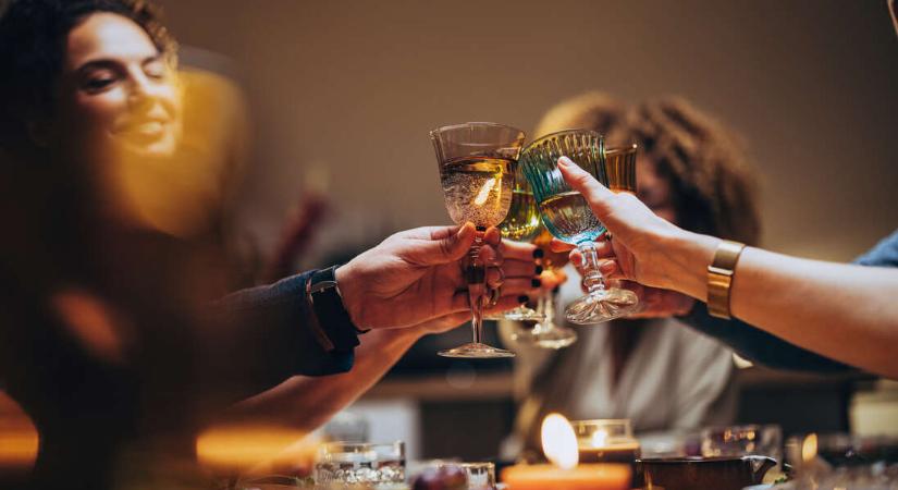 D. Tóth Kriszta: Hogyan legyél jó vendég nálam