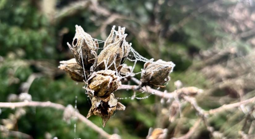 A köd marad, de jöhet hozzá kellemetlen meglepetés is – mutatjuk a holnapi időjárást