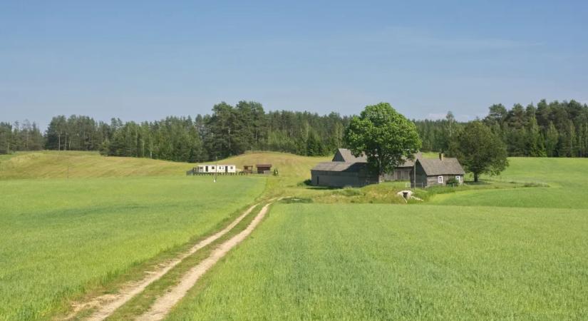 Németország katonákat küld Lengyelország keleti, Belarusszal és Oroszországgal közös határára
