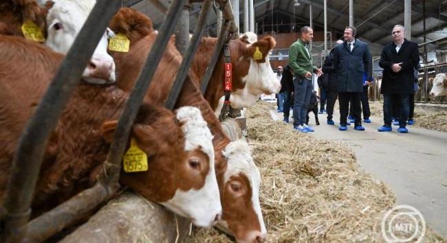 Újabb célzott támogatáshoz jutnak a szarvasmarhatartók