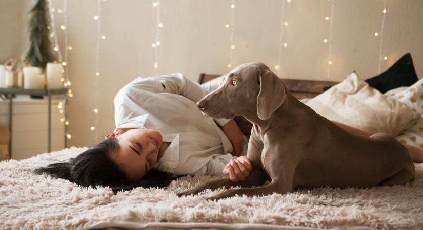 Napi horoszkóp 2025. december 14.: Érzékeny helyzetek, apró örömök és okos döntések kísérnek