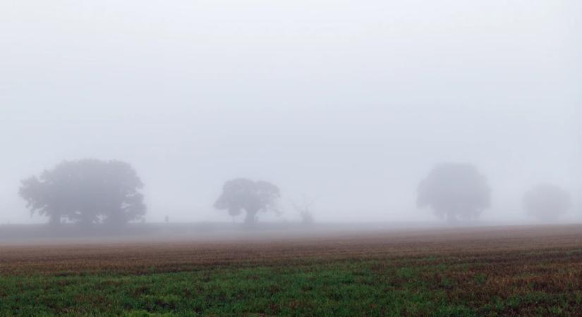 A hétvégén is enyhe, de borult idő várható