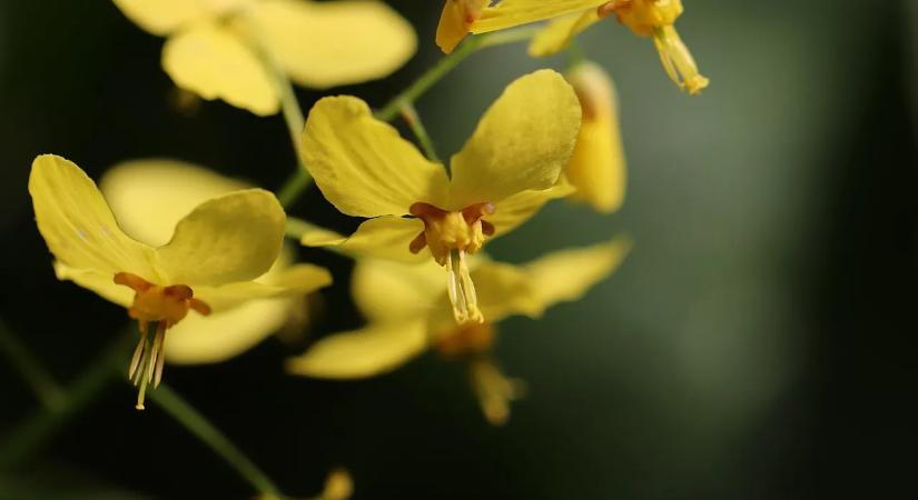 Muri Enikő kisfia csodás pillanatokkal ajándékozza meg a családot