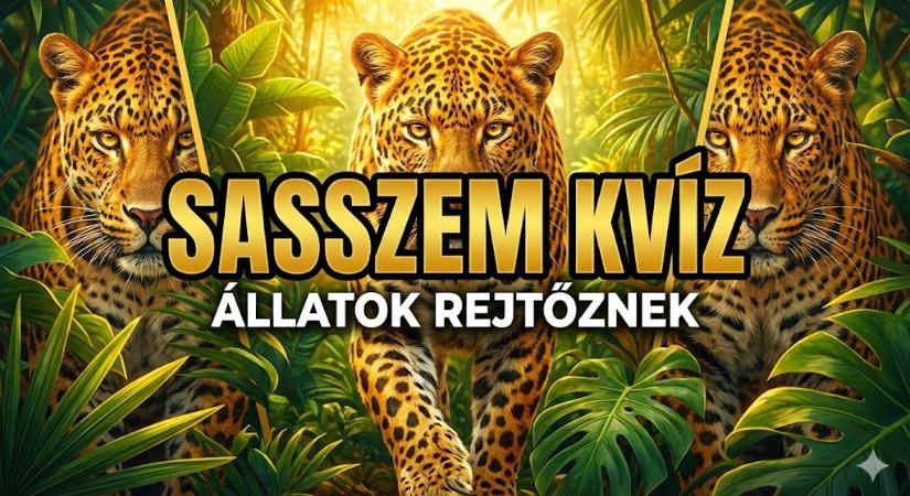 Sasszem kvíz: Megtalálod az elrejtett állatokat a képeken? Csak a legélesebb szeműeknek sikerül!