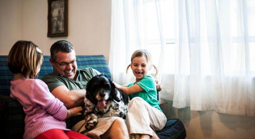 A 6 legjátékosabb kutyafajta, akikkel vidám az élet