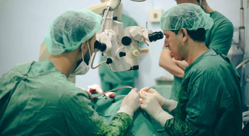 Innováció az orvosképzésben: nem kell már állatokon gyakorolni a sebészjelölteknek
