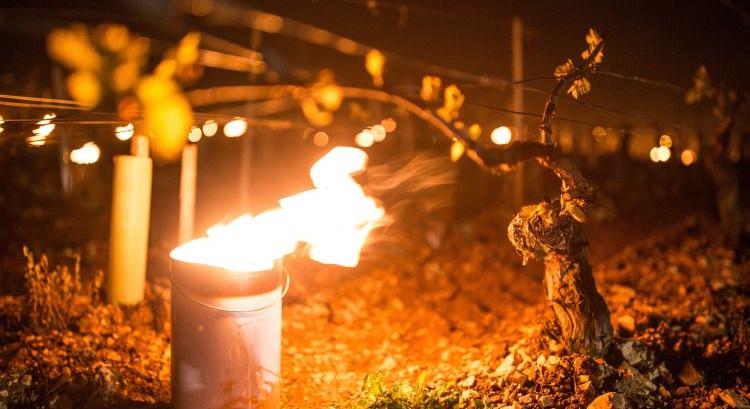 3 fok: még forróbb nyarakra készülhet a magyar mezőgazdaság