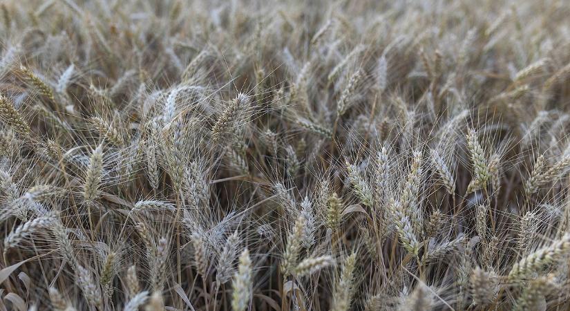 Újabb hitelmoratóriumot jelentett be a kormány, sok magyar fellélegezhet