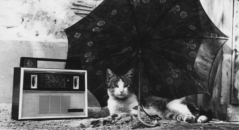 Hitte volna? Már száz éve szól a magyar rádió – galéria