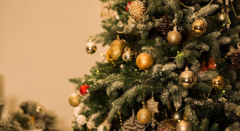 Egyszínű karácsonyfa? Ezekkel az árnyalatokkal lesz a leggyönyörűbb