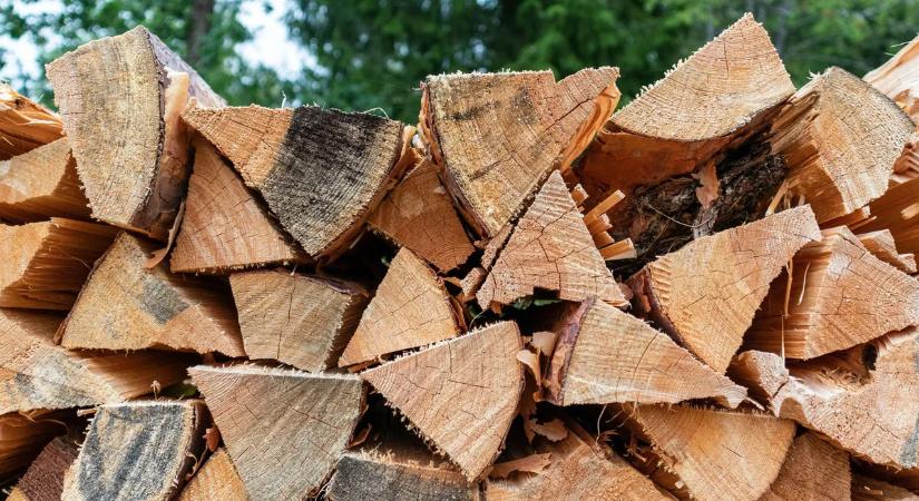 Tűzifa vásárlás utazó árusoktól? Ennyire könnyű pórul járni