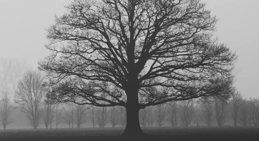 Erre az öt vármegyére adtak ki riasztást