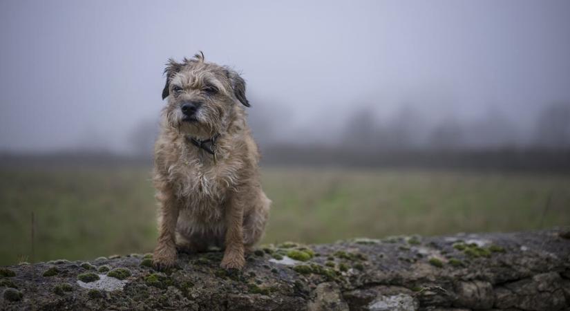 Marad a lehangoló szürkeség – mutatjuk, mikor láthatod újra a napot