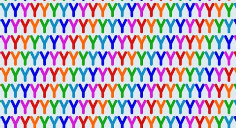 Optikai illúzió: páratlan képességekkel rendelkezik, ha megtalálja az X-et a képen