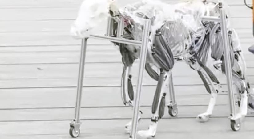 Hátborzongató robotkutya jelent meg Japánban