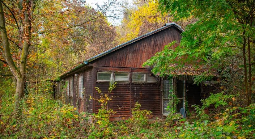 Elnyelte az idő ezt a balatoni tábort, mégis sokakban nosztalgiát ébreszt az enyészet ( galéria)