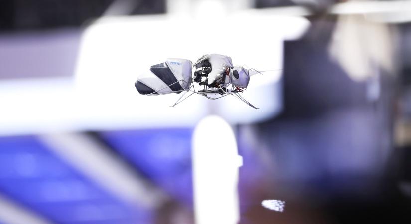 Evolúciós csoda: a rovarok tanítják meg a gépeket emberként érzékelni