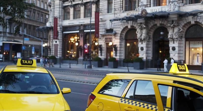 Így választanak házastársat a férfiak a taxielmélet szerint