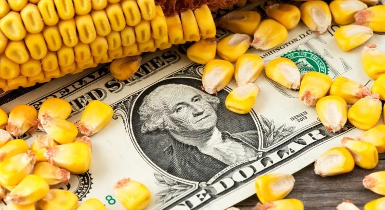 Csúcson az USA kukoricaexportja, de az EU-t Ukrajna uralja