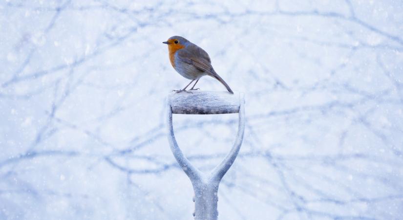 Megérkezett a havazás az országba: itt hirtelen elkezdett esni a hó