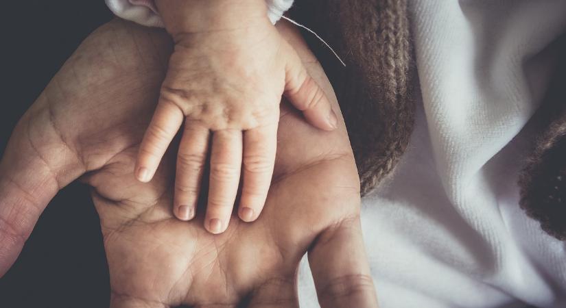 Tóth Ferenc: A gyerek színre lép – Árvíz a második emeleten?