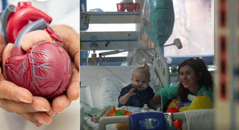 „Teljesen egészséges kisfiúként született, soha nem volt vele semmilyen probléma” – a kétéves Balázs műszívvel várja a csodát