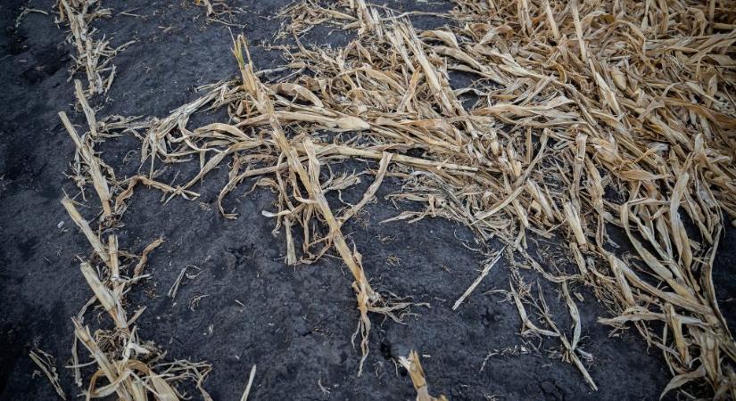 Civilek alkotnák meg, amit a törvényhozás elmulasztott