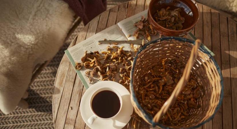 Tényleg helyettesíthetik a kávét a gyógygombák? Ez a legújabb egészségtrend