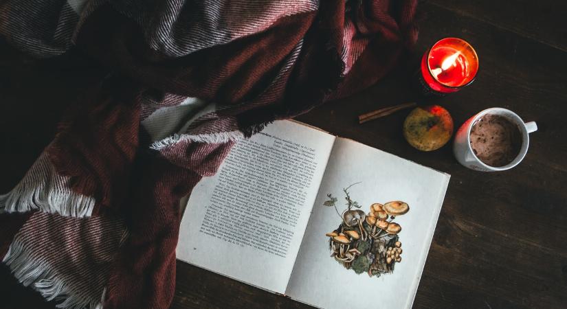 A 2026-os Rák horoszkóp megérkezett: az év, amikor végre megkapod az elismerést, amit megérdemelsz