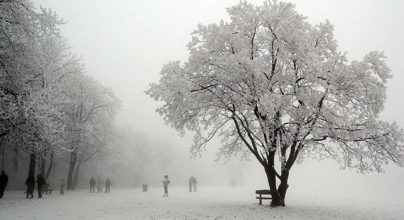 A legjobb kirándulóhelyek Budapest közelében télen is – A legszebb ösvények a főváros körül